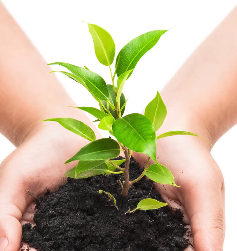 Sinergías agronómicas