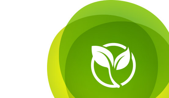 Seguridad alimentaria